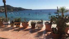 Ibiza Beach Sun